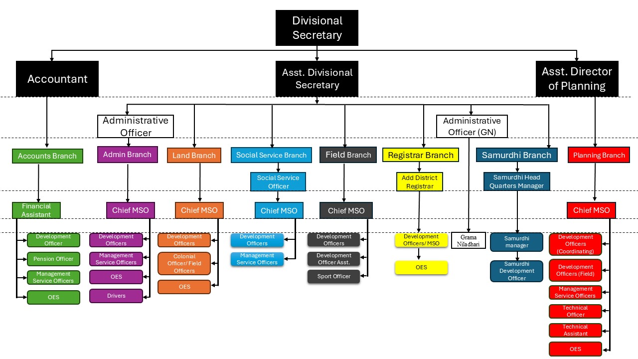 Organizational Chart